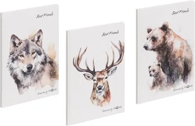 Produktbild von Set Freundebuch Save me No.5 60S 3 Stück