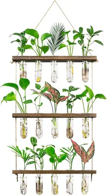 Produktbild von Große 3-stufige Blumenvasen Wandaufhängung Pflanze Vasen mit Holzständer und Glasröhren - Hydrokultur Pflanzen Home Büro Terrassendekoration
