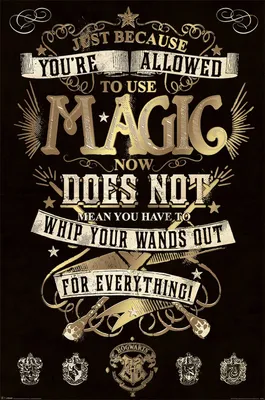 Produktbild von Pyramid Harry Potter Magic Poster 61x91.5cm.