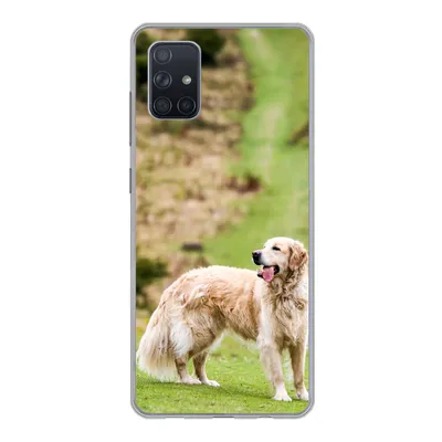 Produktbild von MuchoWow® Handyhülle Schutzhülle Hülle für Samsung Galaxy A71 Schönes Bild eines Golden Retrievers Silikon Softcase Handy Hülle - Kartenbesitzer
