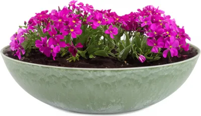 Image de Jardinière pour l'extérieur Coupelle décorative ronde verte Vintage 20 cm
