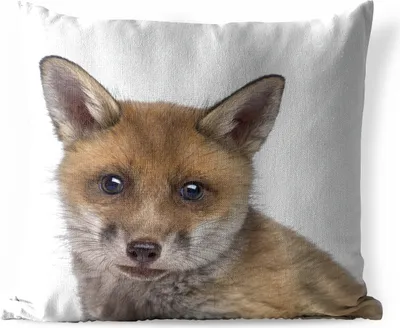Produktbild von MuchoWow® Outdoor Kissen - Fuchs - Tiere - Jungtier - Jungen - Mädchen - Kind - 40x40 cm - Wetterfest - Lounge Kissen - Kopfkissen - Interieur - Polster mit Bild