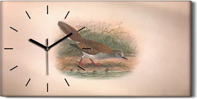 Produktbild von Küchenuhr Bürouhr Leinwand Uhr Quarz 60x30 Vögel Wild Tiere Zeichnung Kunst - schwarze Hände