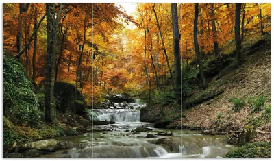 Produktbild von Wallario Herdabdeckplatte aus Glas, Größe 90 x 52 cm 3-teilig, Motiv Kleiner Bach über Steine im Herbstwald