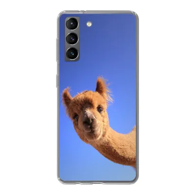 Produktbild von MuchoWow® Handyhülle Schutzhülle Hülle für Samsung Galaxy S21 Alpaka - Braun - Blau Silikon Softcase Handy Hülle - Softcase