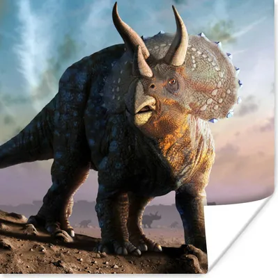 Produktbild von MuchoWow® Poster Dino - Geschichte - Triceratops - Kinder - Kinder - Kleiner Junge 50x50 cm - Wohnzimmerdekoration