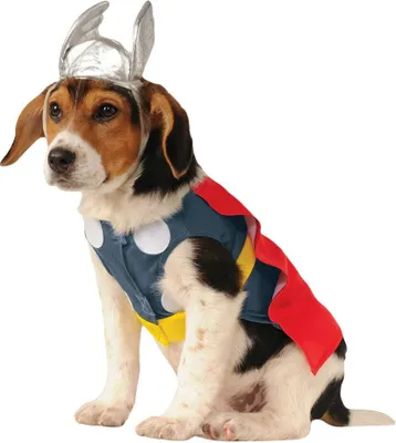 Produktbild von Thor Hundekostüm Hundegröße: XL