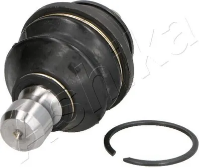 Produktbild von ASHIKA Traggelenk Vorne Unten für NISSAN NP300 Navara Pickup (D40) 73-01-136