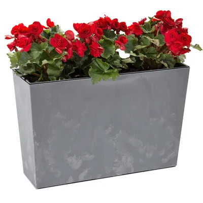 Obrázok produktu pre Balkónový box Kvetinový box Vložka do kvetináča Betónový vzhľad Sivá Obdĺžniková 56x19 H36,5cm Povrch Matný plast Moderný pôvab