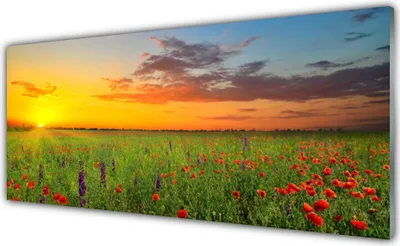 Produktbild von Küchenrückwand aus Glas 125x50cm Spritzschutz Sonne Wiese Blumen Natur