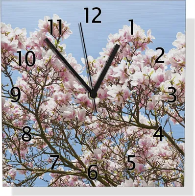 Produktbild von Wallario Design Wanduhr Schöne rosa Magnolien-Blüten vor blauem Himmel aus Aluverbund, Größe 30 x 30 cm