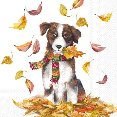 Produktbild von DOG HAVING FUN Lunch-Servietten L1014900