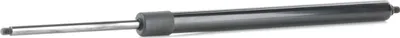 Produktbild von RIDEX 219G0998 Gasfeder Heckklappendämpfer für JEEP GRAND CHEROKEE III (WH, WK) 438mm