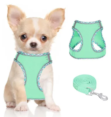 Produktbild von Hundegeschirr mit Leine für kleine und mittelgroße Hunde, gefüttert