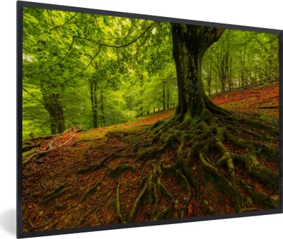Produktbild von MuchoWow® Gerahmtes Poster Baum - Wald - Herbstblätter 90x60 cm - Poster mit Schwarzem Bilderrahmen Wandposter Rahmen Foto Bilder - Fotorahmen - Foto-Plakat