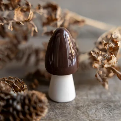 A chocolate mushroom candy sits on a textured surface, surrounded by dried leaves and pinecones.