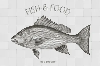 Produktbild von ESTAhome Wandtattoo Fisch Schwarz 70 x 46.5 cm