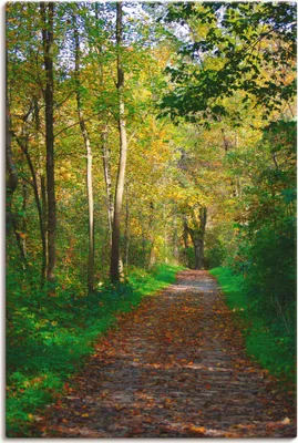 Produktbild von ARTland Leinwandbild Weg im Herbst Wald Größe: 40x60 cm