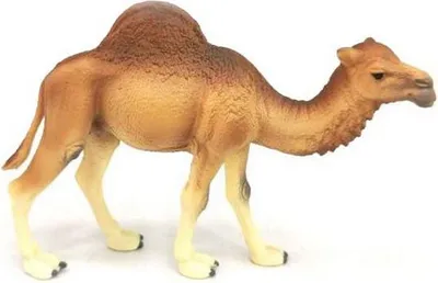 Produktbild von B - Figur Einhöckriger Dromedar 14 cm