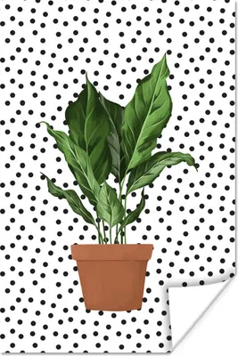Produktbild von MuchoWow® Poster Pflanzen - Pflanzgefäß - Dots 40x60 cm - Plakate für die Wand - Poster Babyzimmer