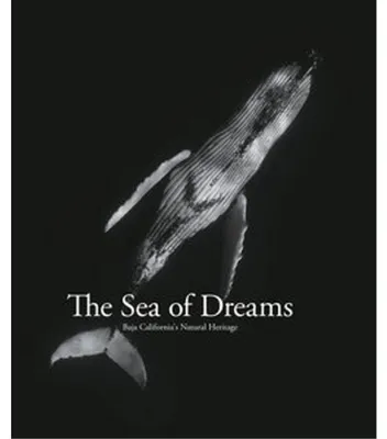 Zdjęcie produktu dla The Sea of Dreams