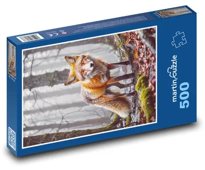 Zdjęcie produktu dla Puzzle 500 Lis w lesie - martinpuzzle