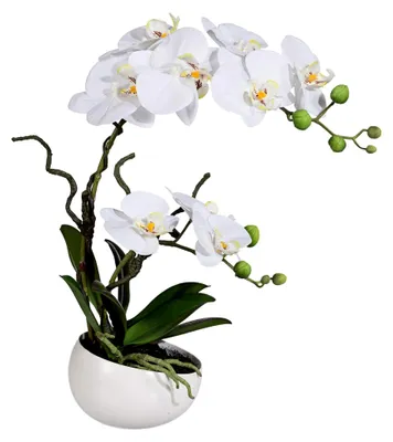 Produktbild von Kunstpflanze Orchidee Phalaenopsis, weiß, mit Keramikschale, Höhe 42 cm