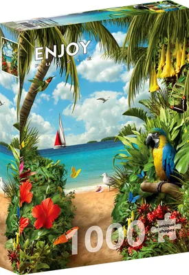 Image de Puzzle 1000 pièces Enjoy – Discovery