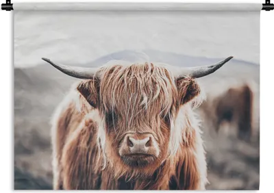Produktbild von MuchoWow® Wandteppich Wandbehang Schottischer Highlander - Berg - Hoorn 90x67.5 cm Tapisserie Dekoration Wandtuch - Fototeppich - Wand-Skulpturen