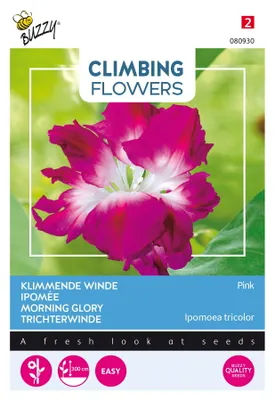 Obrázok produktu pre Buzzy Popínavé kvety Ipomoea Double Pink Semená - cca 2 gr | Buzzy_080930