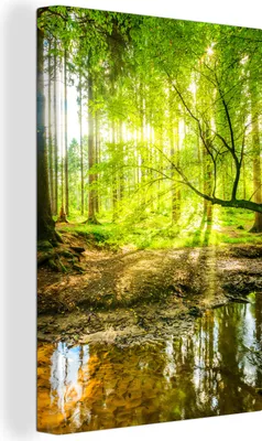 Produktbild von OneMillionCanvasses® - Leinwandbilder - 90x140 cm, Wald - Landschaft - Wasser - Bäume - Sonne - Grün - Natur, Wandbilder Kunstdruck Wanddekoration - Foto auf Leinwand - Gemälde auf - Wandschmucke - Schlafzimmer