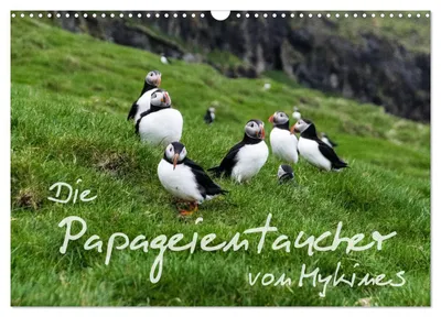 Produktbild von Die Papageientaucher von Mykines (Wandkalender 2027 DIN A3 quer), CALVENDO Monatskalender