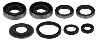 Imagen del producto de Juego de retenes para motor de arranque con pedal Sachs 50/3 (15 mm)