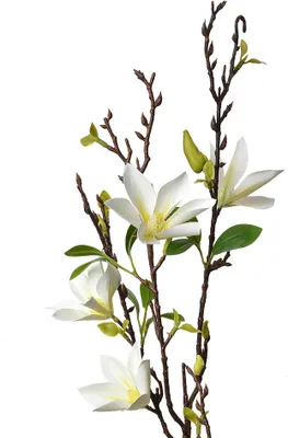 Immagine prodotto di Fiore artificiale Clayre & Eef 84 cm plastica bianca