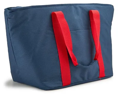 Produktbild von Kühltasche Shopper – 40L Freizeittasche mit Kühlfunktion – Isolierte Strand- & Einkaufstasche mit silbernem Innenfutter – Wasserabweisend & strapazierfähig – Mit Netzinnentaschen & Reißverschlussfach