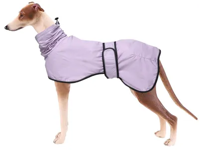 Obrázek produktu pro Pláštěnka pro psy Morezi s reflexními prvky, odolná proti dešti/vode, nastavitelná – pláštěnky pro plemena jako whippet, greyhound a dalmatin – světle fialová – velikost XXXL