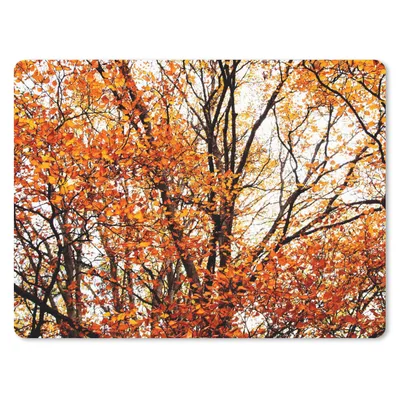 Produktbild von MuchoWow® Mauspad Mousepad Wald - Herbst - Jahreszeiten 40x30 cm - Mousepads - Maus Mat - Pad - Mausunterlage - Anti Rutsch