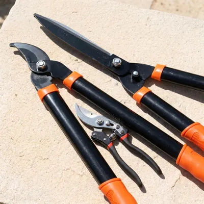Productafbeelding van Tuinscharen set 3-delig – heggenschaar, takkenschaar en snoeischaar van gehard staal, antislip grepen, handgereedschap voor heg, takken en rozen, AI-gegenereerde afbeelding