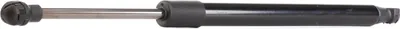 Produktbild von RIDEX 219G0366 Gasfeder Heckklappendämpfer für BMW 3 Cabrio (E46) 365mm