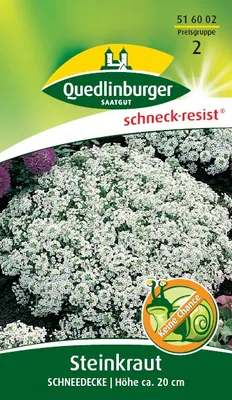 Produktbild von Steinkraut, Schneedecke