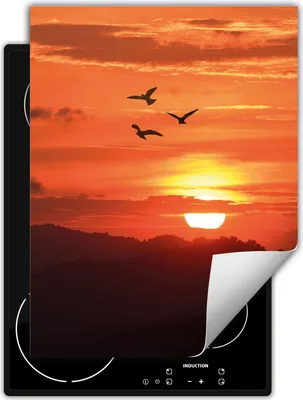 Produktbild von DarHaus Herdabdeckplatte Einteilig Küche Abdeckplatte für Glaskeramikkochfeld Abdeckung Induktionskochfeld Aufrollbare Matte 40x52 cm, Himmel - Vogel