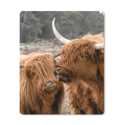 Produktbild von MuchoWow® Mauspad Mousepad Schottische Highlander - Tiere - Liebe 30x40 cm - Mousepads - Maus Mat - Pad - Mausunterlage - Mausmatten