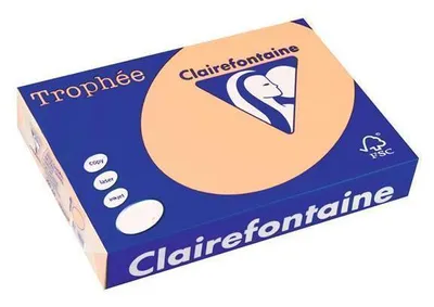 Produktbild von Clairefontaine Trophee 1111C Papier Lachs 160g/m² DIN-A3 - 250 Blatt