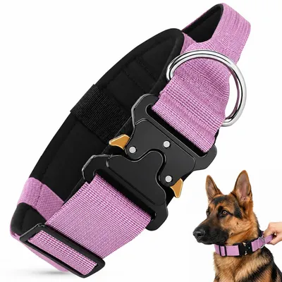 Produktbild von Hundehalsband Taktisch Breit Gepolstert mit Griff Lila M