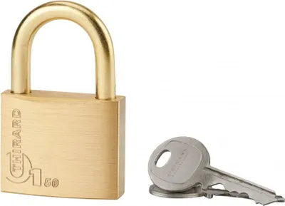 Image de Cadenas à clé Type 1, laiton, extérieur, anse acier, 50mm, 2 clés - THIRARD
