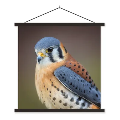 Produktbild von MuchoWow® Textilposter Vogel - Makro - Blau 90x90 cm mit schwarzem Rahmen - Magnetisches