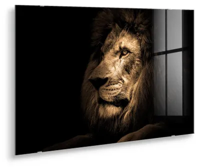 Obrázek produktu pro STYLER Skleněná nástěnná dekorace LVI 70x100 cm, skleněná dekorace lva, motiv zvířat, moderní design, vhodná do obývacího pokoje, černobílá