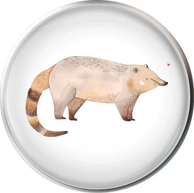 Produktbild von Mr. & Mrs. Panda Ablaufgarnitur Nasenbär - Weiß - Geschenk, waschbeckenstöpsel, Nasenbären, Abfluss-Stopfen, Bär, abfluss stöpsel, Waschbecken Stopfen, Lustige Sprüche