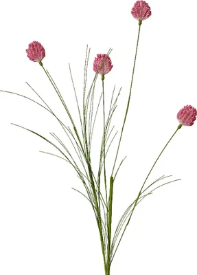 Produktbild von Künstlicher Zierlauch mit Stiel 74cm Rosa