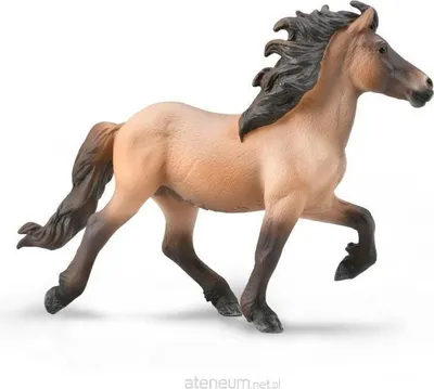 Produktbild von COLLECTA-Hengst isländischer Braunbraun 88932 89320
